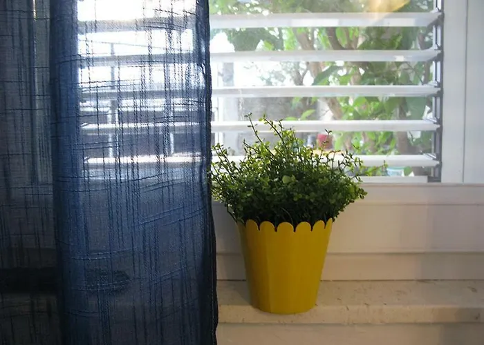 Alexante Guest house