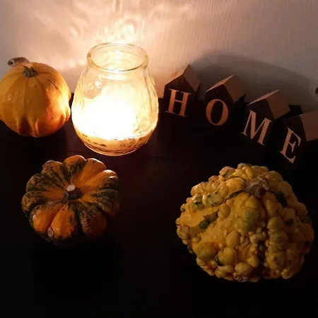 Alexante ゲストハウス