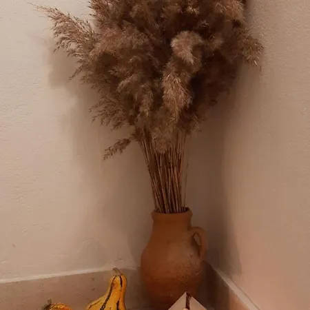 Alexante ゲストハウス 4*