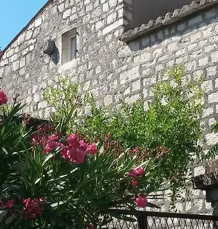 Alexante Trogir