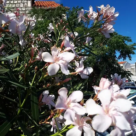 Alexante Πανσιόν 4*