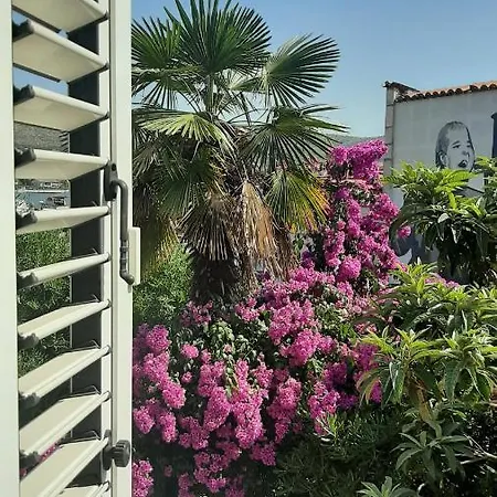 Alexante 4* Trogir