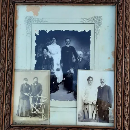 Πανσιόν Alexante