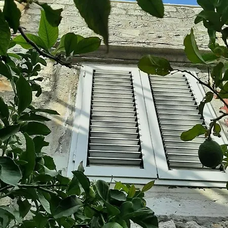 Alexante Guest house