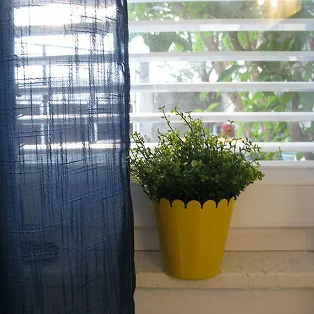 Alexante Πανσιόν